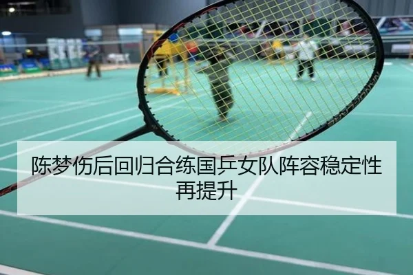 陈梦伤后回归合练国乒女队阵容稳定性再提升